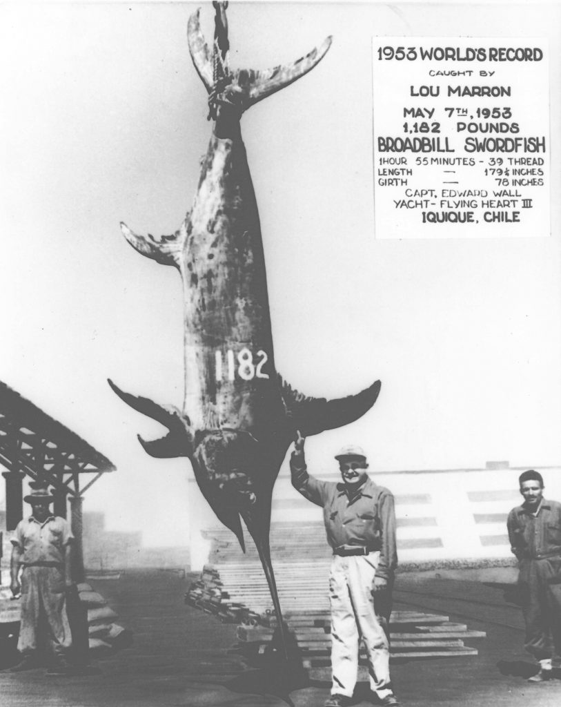 Biggest Swordfish