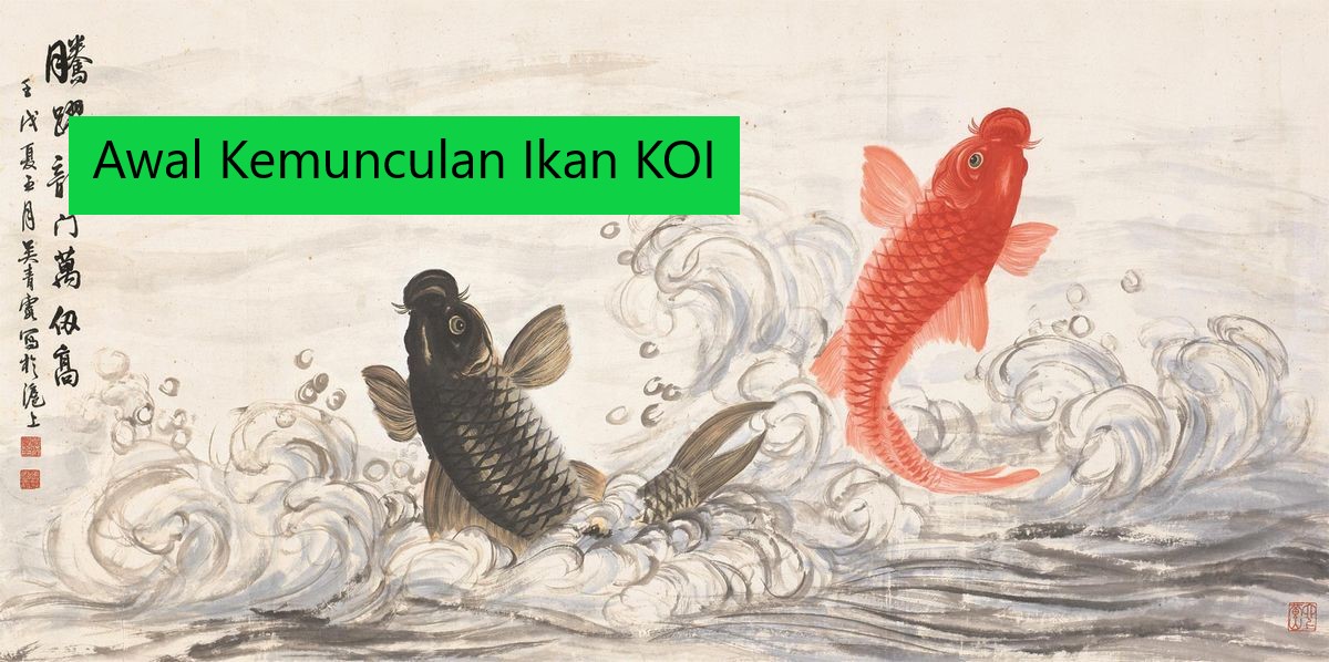 Awal Kemunculan Ikan KOI